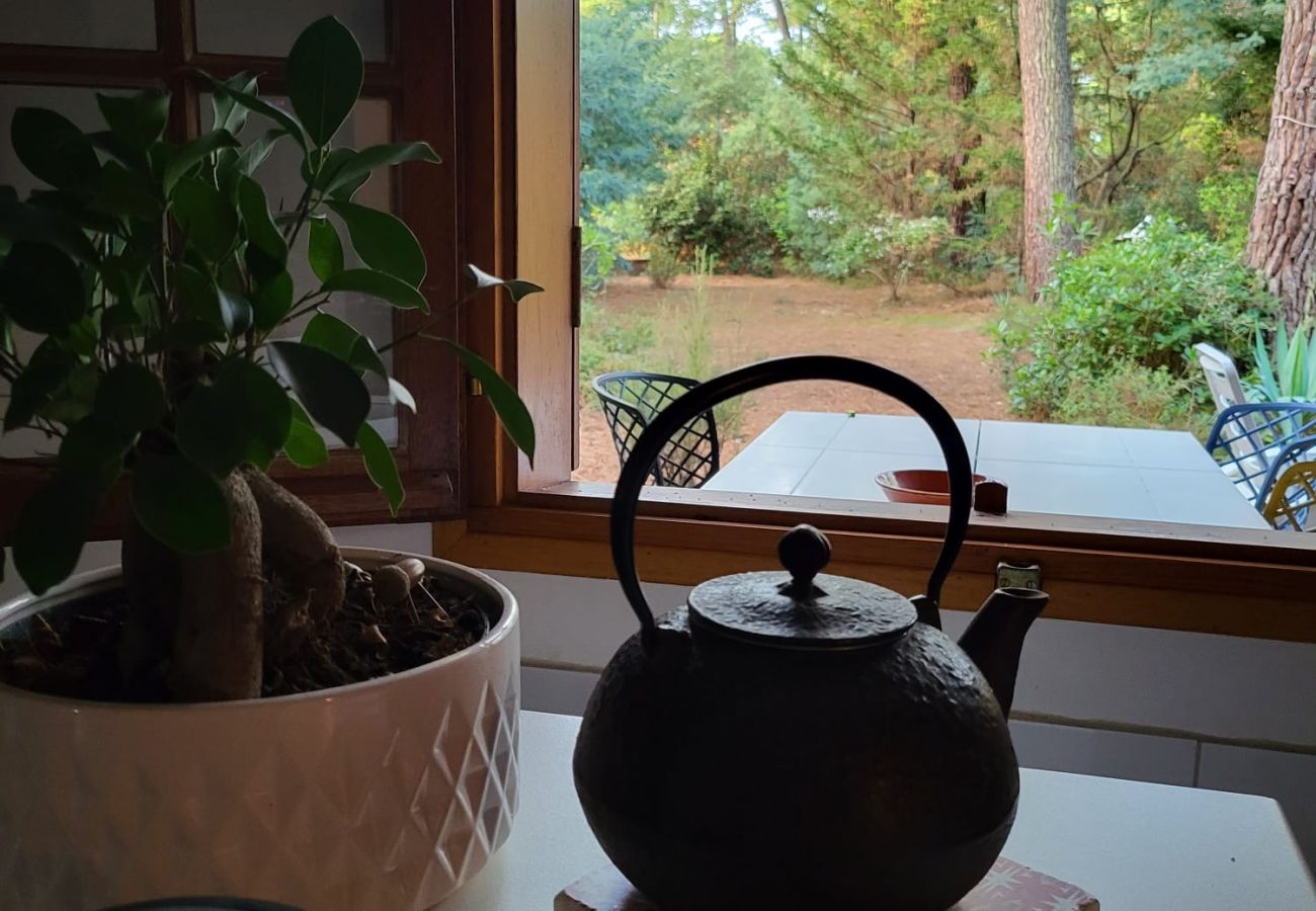 Chalet à Grayan-et-l´Hôpital - Chalet Surinam 7