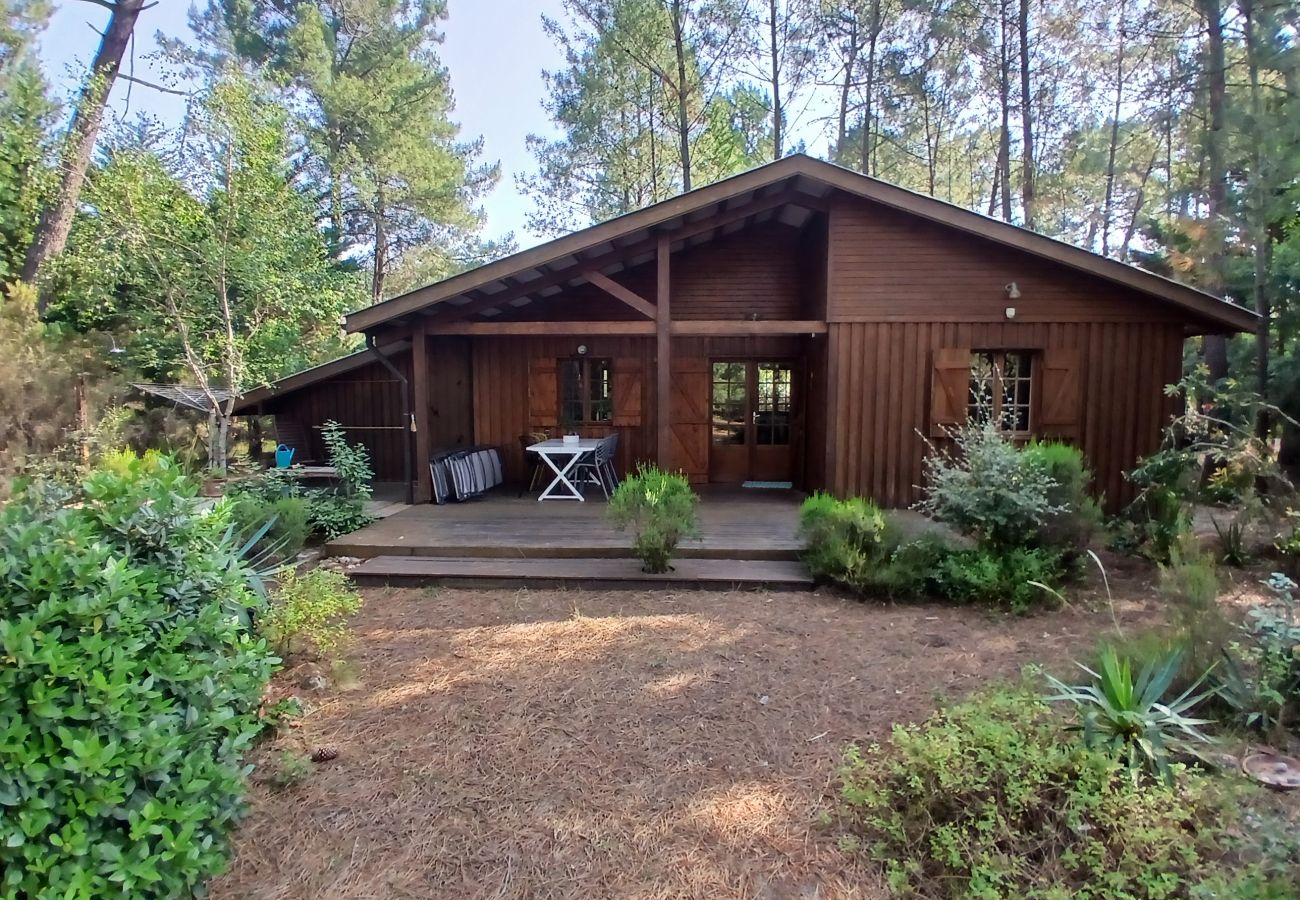 Chalet à Grayan-et-l´Hôpital - Chalet Surinam 7