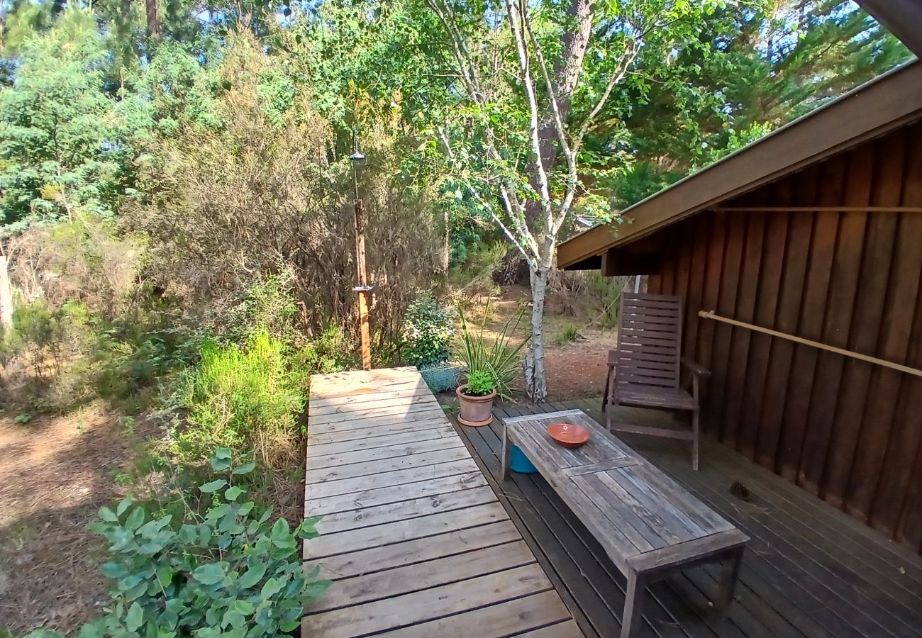 Chalet à Grayan-et-l´Hôpital - Chalet Surinam 7