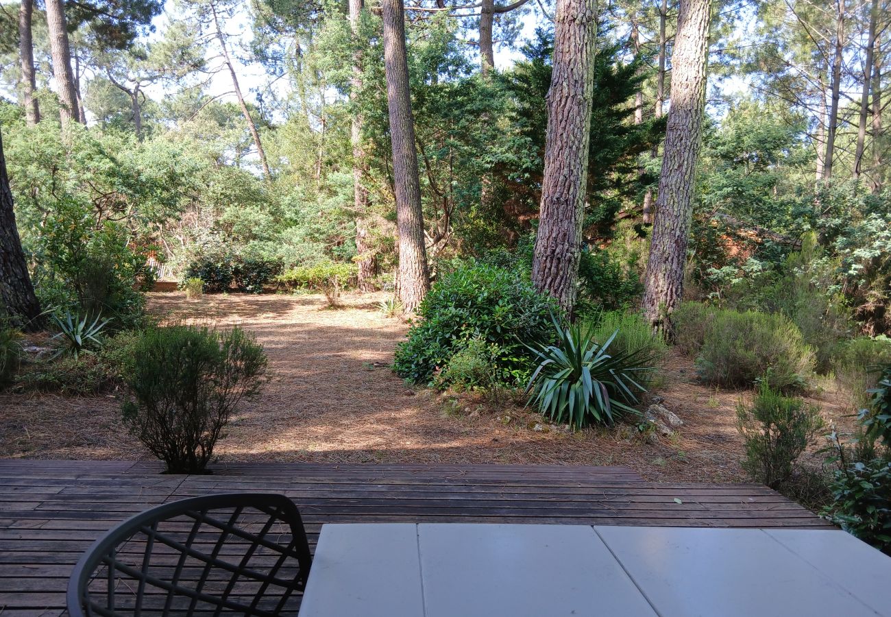Chalet à Grayan-et-l´Hôpital - Chalet Surinam 7