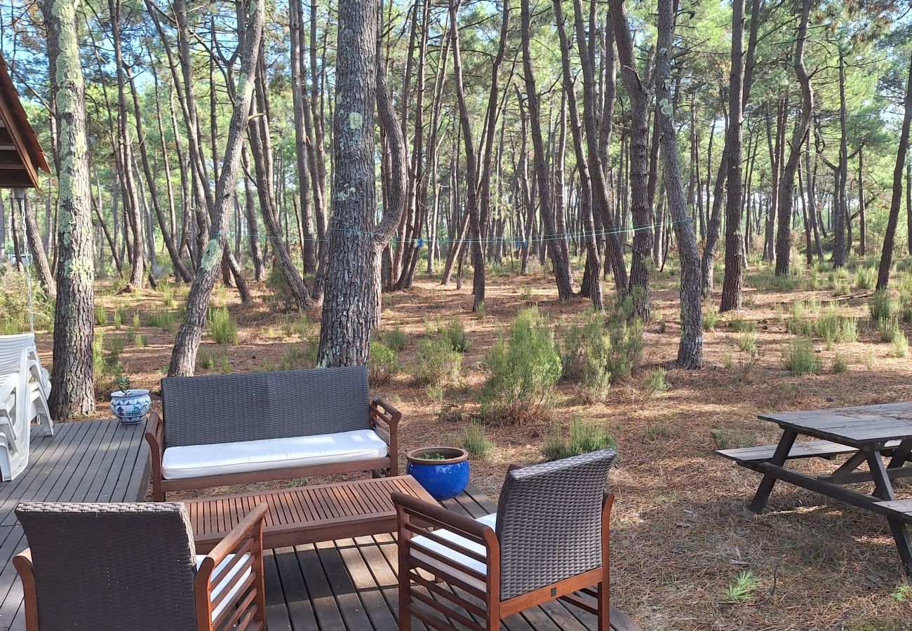 Chalet à Grayan-et-l´Hôpital - Chalet Kenya 8