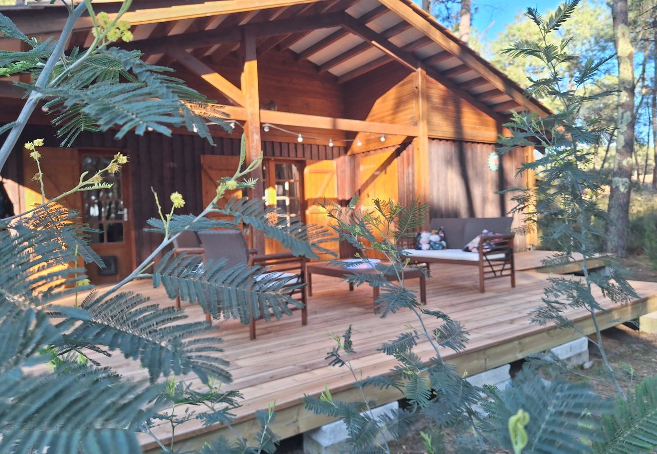 Chalet à Grayan-et-l´Hôpital - Chalet Kenya 8