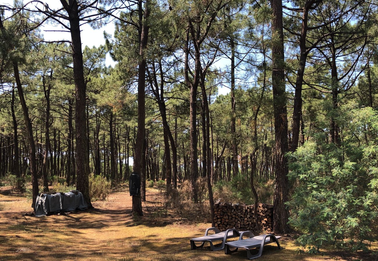 Chalet à Grayan-et-l´Hôpital - Chalet Maroc 9