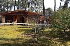 Chalet à Grayan-et-l´Hôpital - Chalet Japon 7