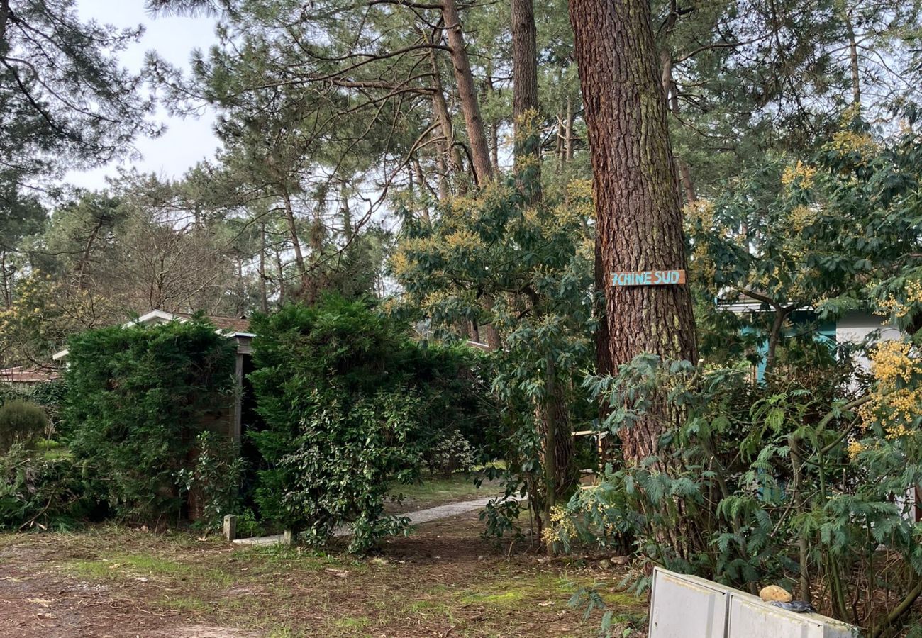 Studio à Grayan-et-l´Hôpital - Studio Chine 7 Sud