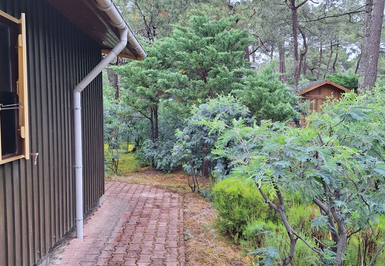 Chalet à Grayan-et-l´Hôpital - INDONESIE 5