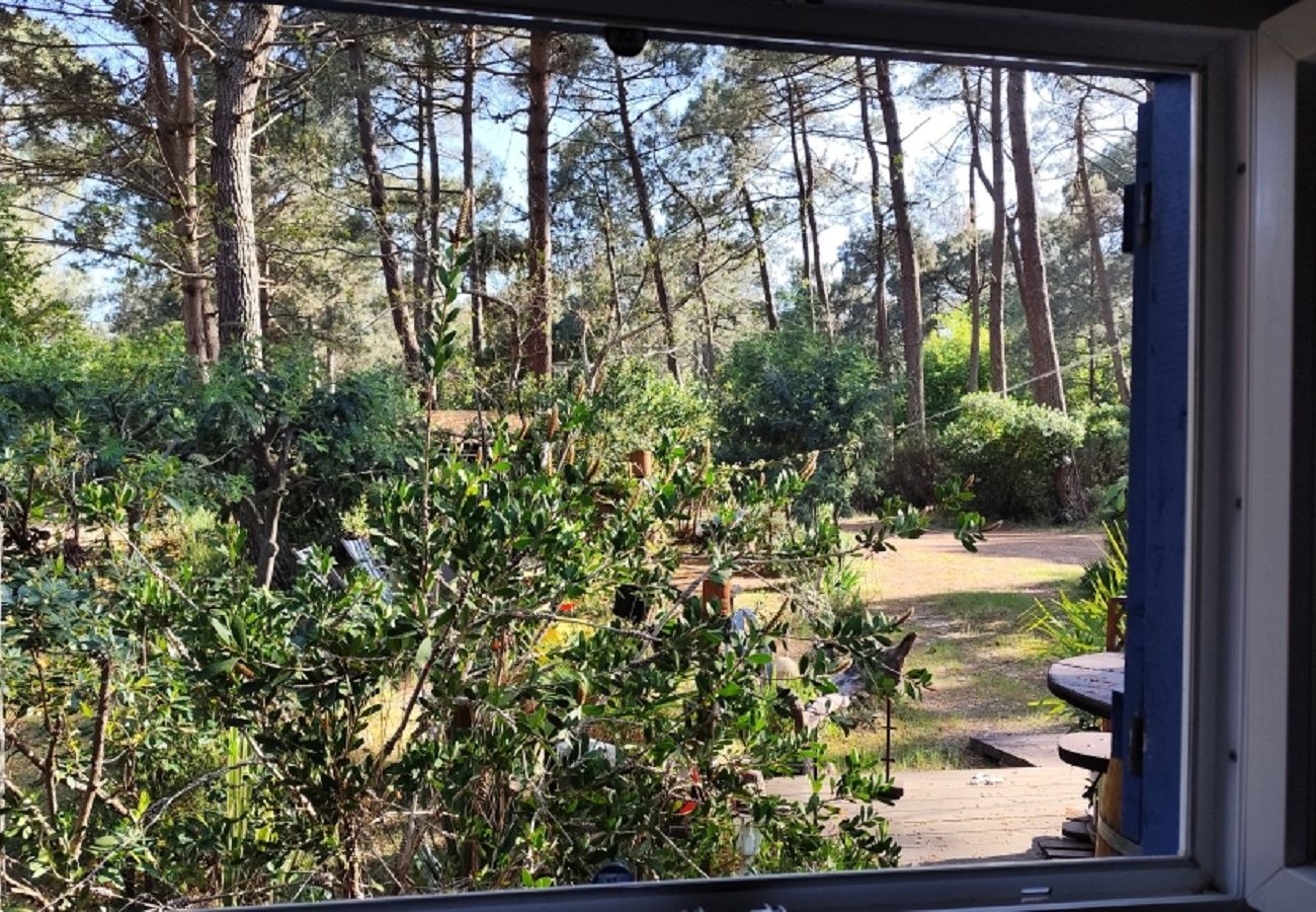 Chalet à Grayan-et-l´Hôpital - PAYS-BAS 27
