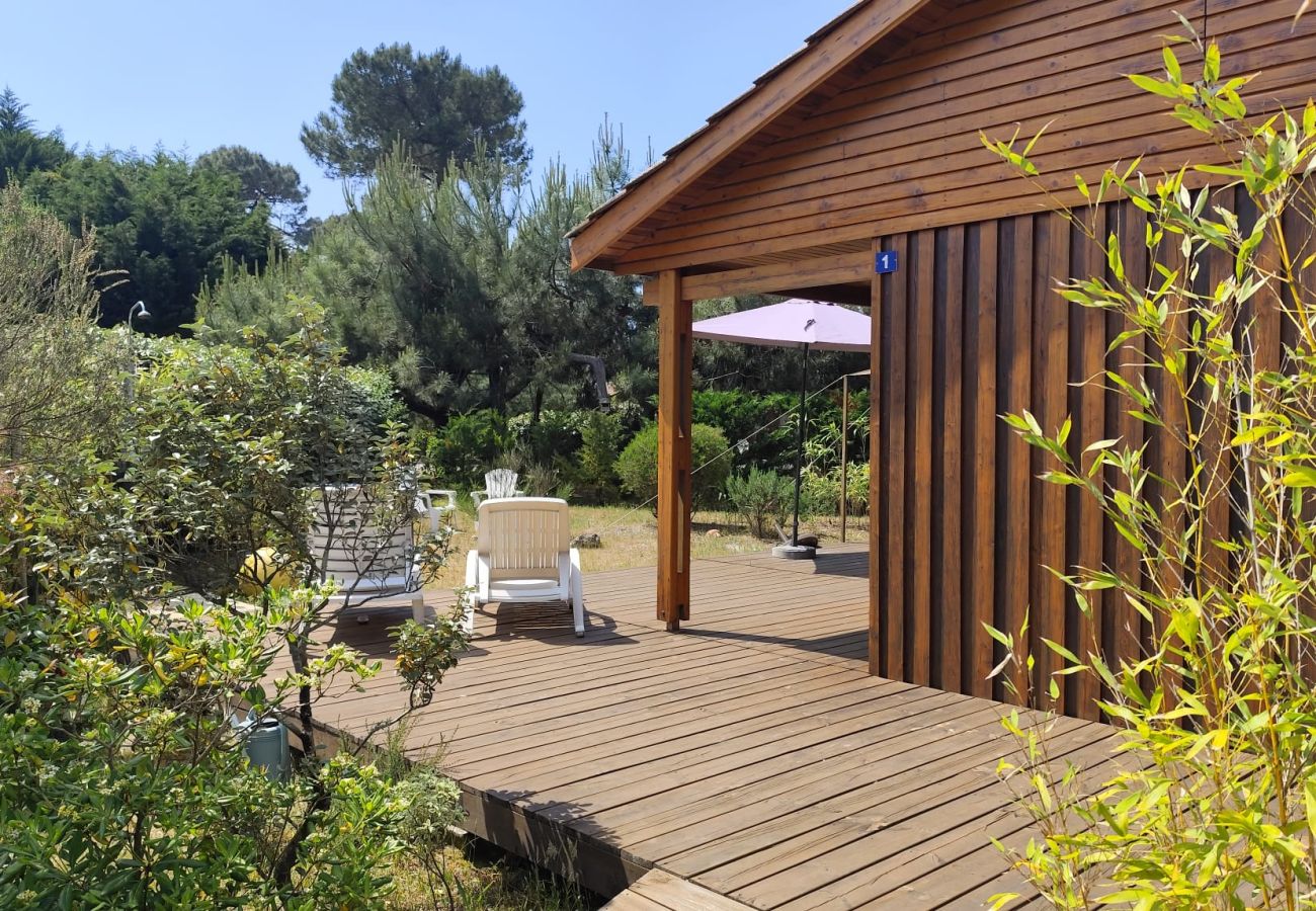 Chalet à Grayan-et-l´Hôpital - VIRGINIE 1