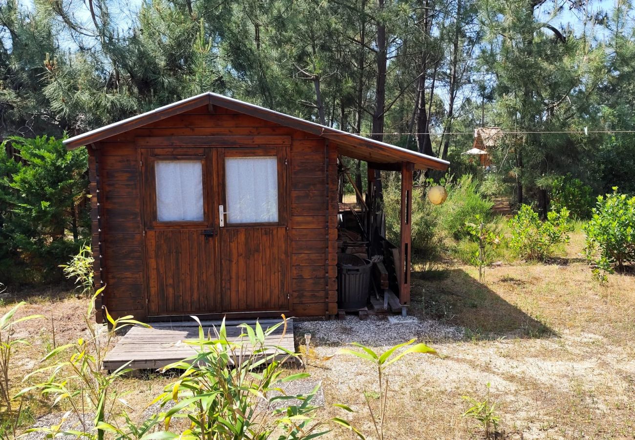 Chalet à Grayan-et-l´Hôpital - VIRGINIE 1