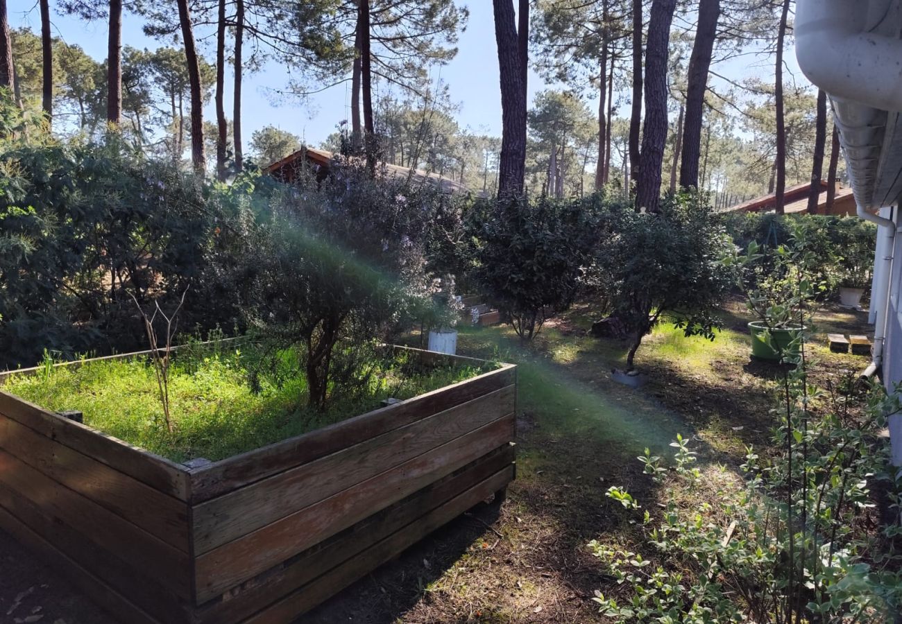 Chalet à Grayan-et-l´Hôpital - THAILANDE 9