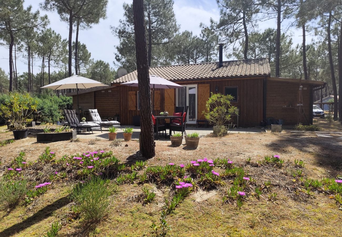 Chalet à Grayan-et-l´Hôpital - NOUVELLE CALEDONIE 8
