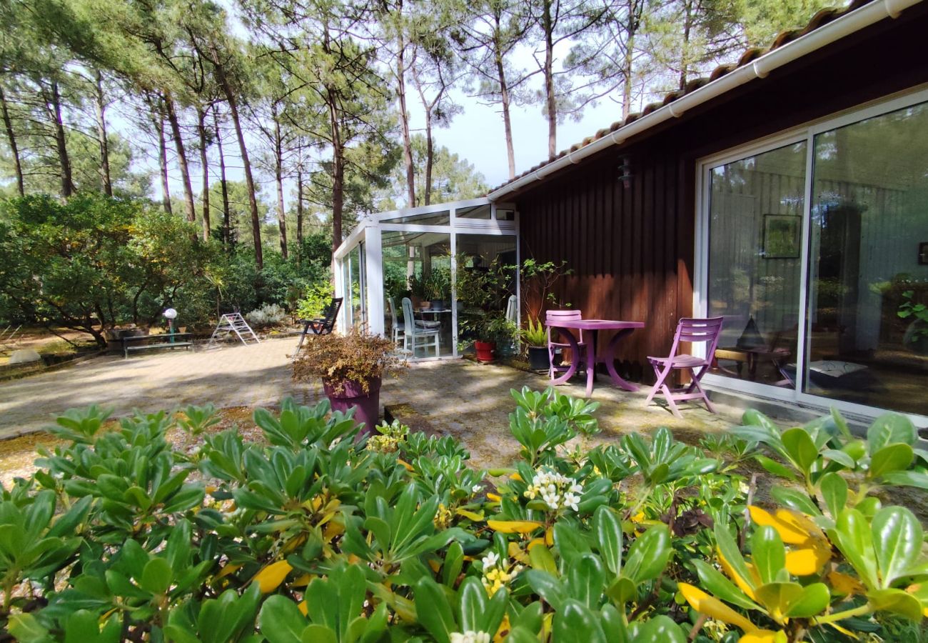 Chalet à Grayan-et-l´Hôpital - AUSTRALIE 17