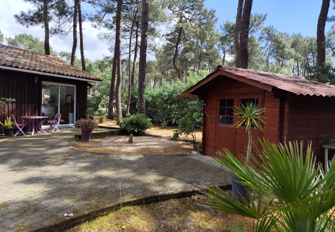 Chalet à Grayan-et-l´Hôpital - AUSTRALIE 17