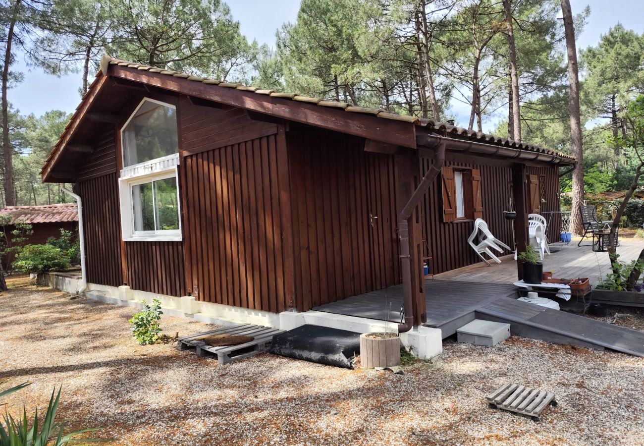Chalet à Grayan-et-l´Hôpital - AUSTRALIE 17